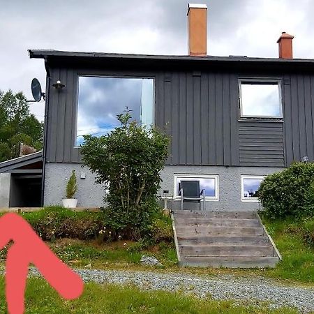 Aurora Rooms In Shared Apartment Nr1 We Are Doing Privet Northen Light Trip, Reindeer Trip And Sommaroy Fjord Trip ทรอมโซ ภายนอก รูปภาพ