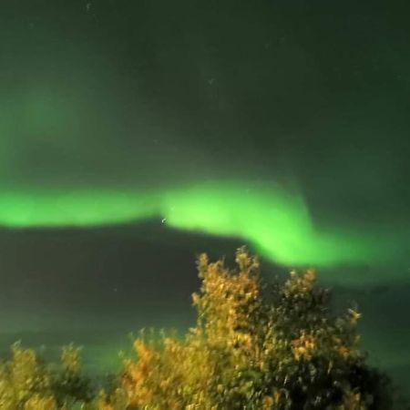Aurora Rooms In Shared Apartment Nr1 We Are Doing Privet Northen Light Trip, Reindeer Trip And Sommaroy Fjord Trip ทรอมโซ ภายนอก รูปภาพ