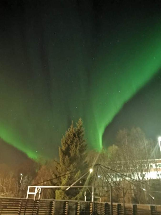 Aurora Rooms In Shared Apartment Nr1 We Are Doing Privet Northen Light Trip, Reindeer Trip And Sommaroy Fjord Trip ทรอมโซ ภายนอก รูปภาพ