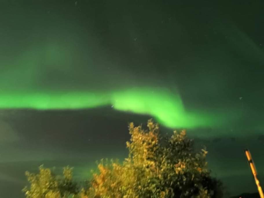 Aurora Rooms In Shared Apartment Nr1 We Are Doing Privet Northen Light Trip, Reindeer Trip And Sommaroy Fjord Trip ทรอมโซ ภายนอก รูปภาพ